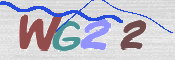 この文字を入力してください