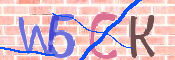 この文字を入力してください