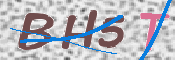 この文字を入力してください