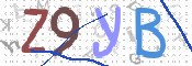 この文字を入力してください