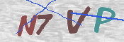 この文字を入力してください