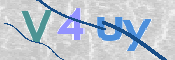 この文字を入力してください