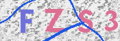 この文字を入力してください