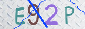 この文字を入力してください