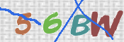 この文字を入力してください