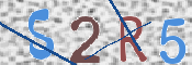 この文字を入力してください