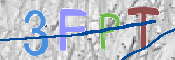 この文字を入力してください