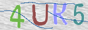 この文字を入力してください