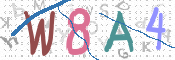 この文字を入力してください