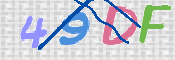 この文字を入力してください