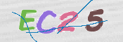 この文字を入力してください