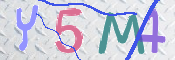 この文字を入力してください