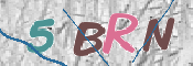 この文字を入力してください