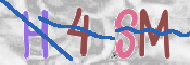 この文字を入力してください