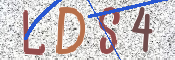 この文字を入力してください