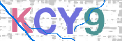 この文字を入力してください