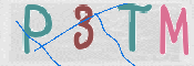 この文字を入力してください