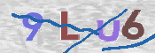 この文字を入力してください