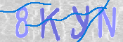 この文字を入力してください