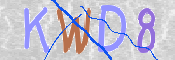 この文字を入力してください