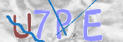 この文字を入力してください