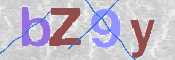 この文字を入力してください