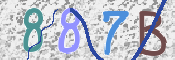 この文字を入力してください