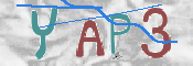 この文字を入力してください