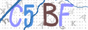 この文字を入力してください