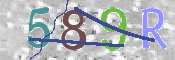 この文字を入力してください