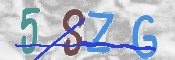 この文字を入力してください