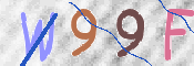 この文字を入力してください