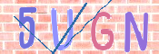 この文字を入力してください