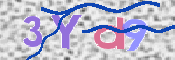 この文字を入力してください