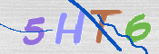 この文字を入力してください