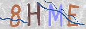 この文字を入力してください