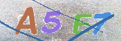 この文字を入力してください