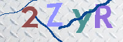 この文字を入力してください