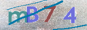 この文字を入力してください