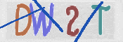 この文字を入力してください