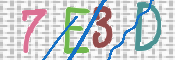 この文字を入力してください