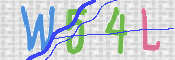 この文字を入力してください