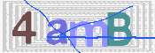 この文字を入力してください