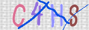 この文字を入力してください