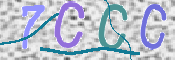 この文字を入力してください