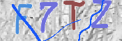 この文字を入力してください