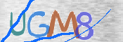 この文字を入力してください