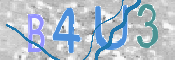 この文字を入力してください
