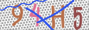 この文字を入力してください