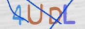 この文字を入力してください